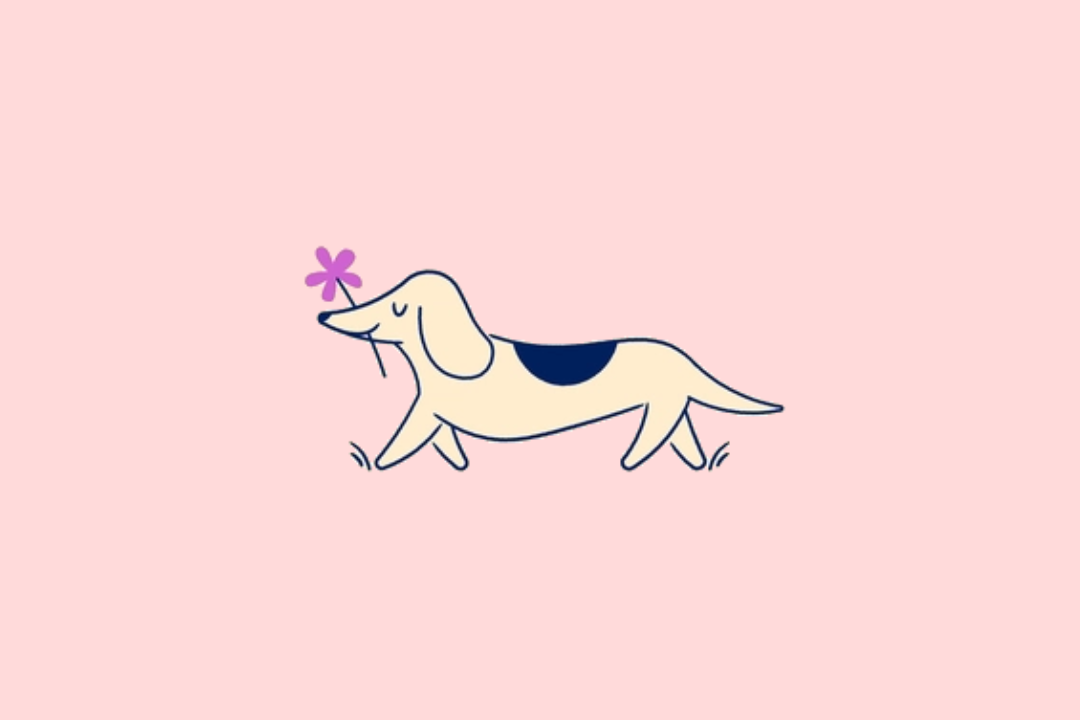 life lessons from dogs