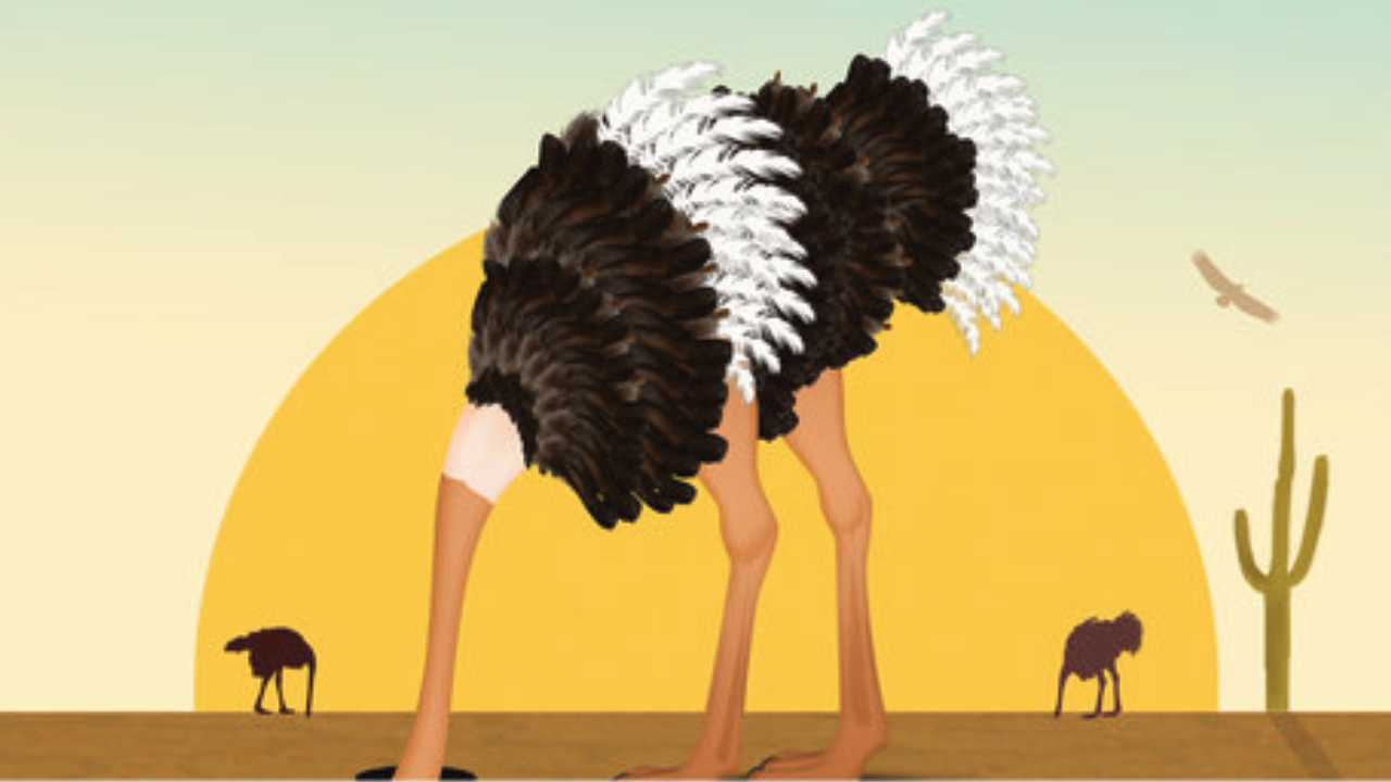 How I Met My Apathy |On Developing Empathy|