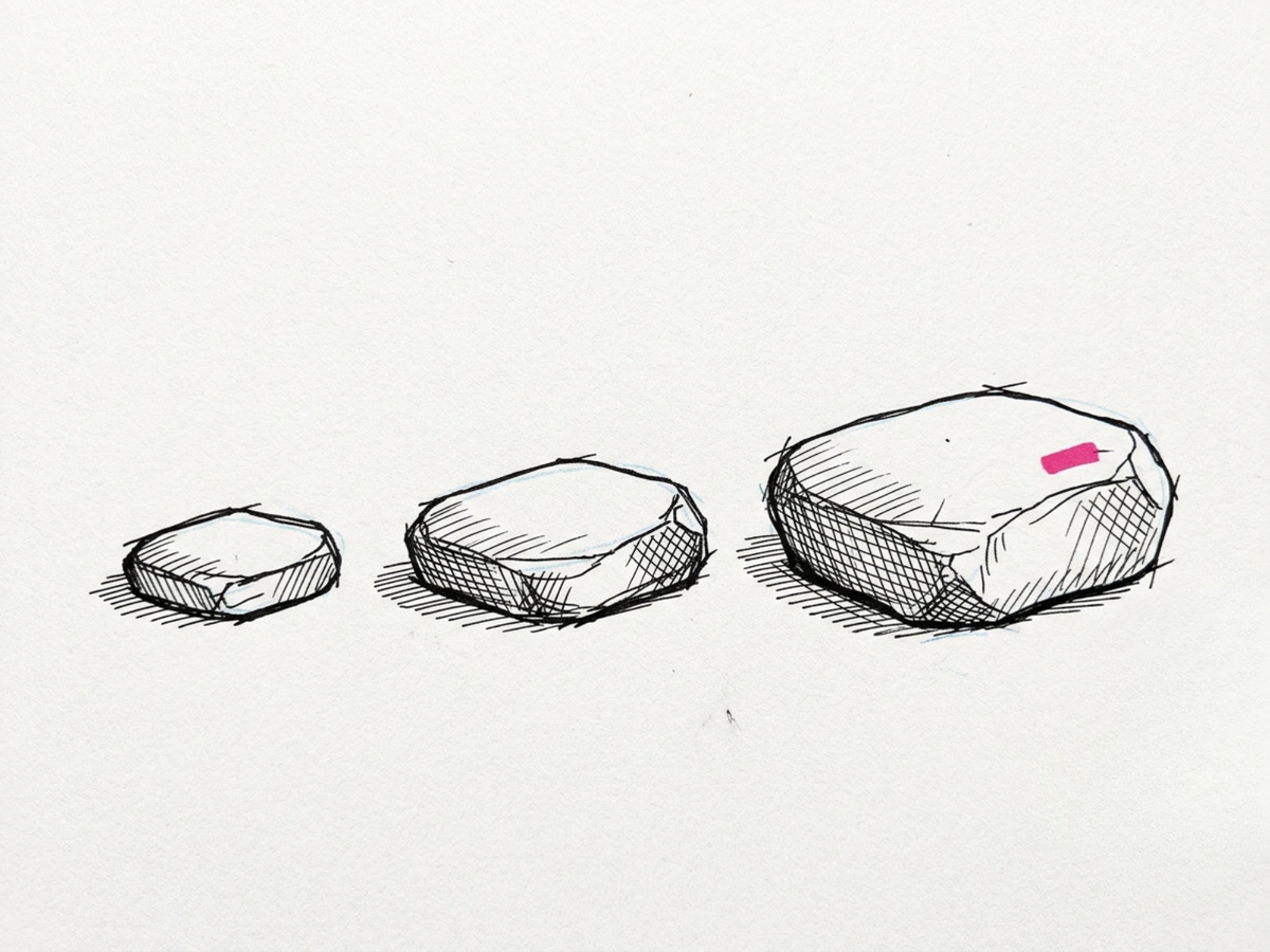 A simple three-step path drawn from workshop to manager training to full programme