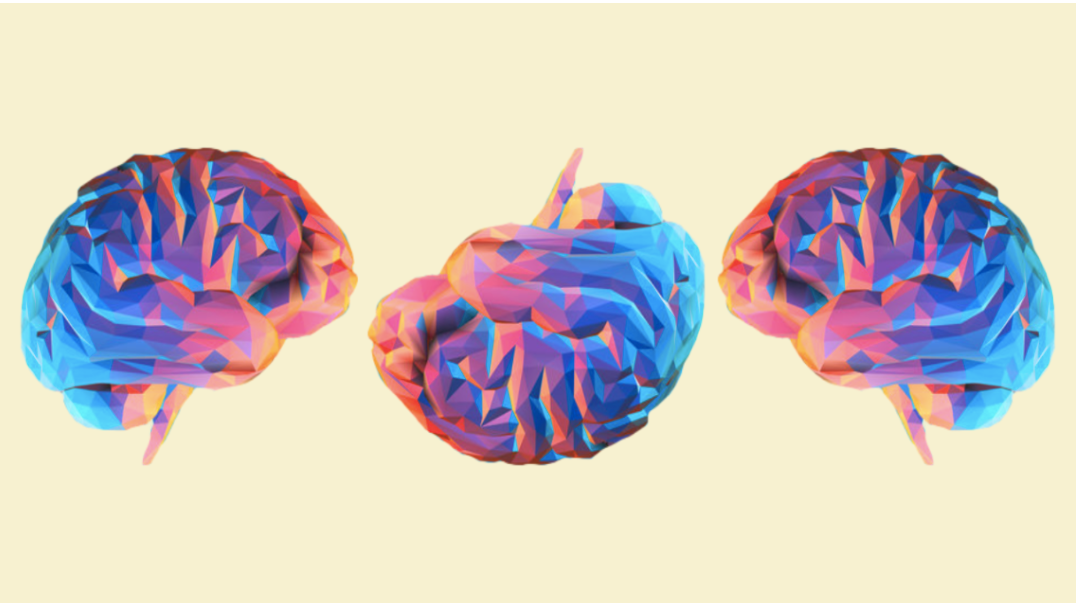 Brain Differences Are Normal