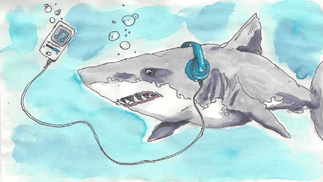 Becoming Aware Of Our Shark Music