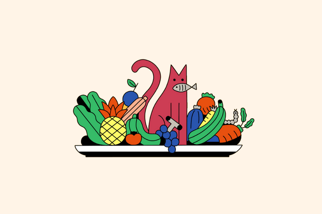 relationship with food