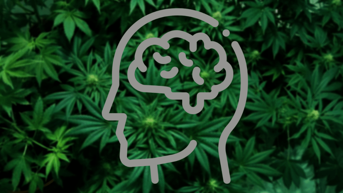 Marijuana: More Damage Than Cure?