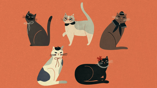 Self Care With Cats