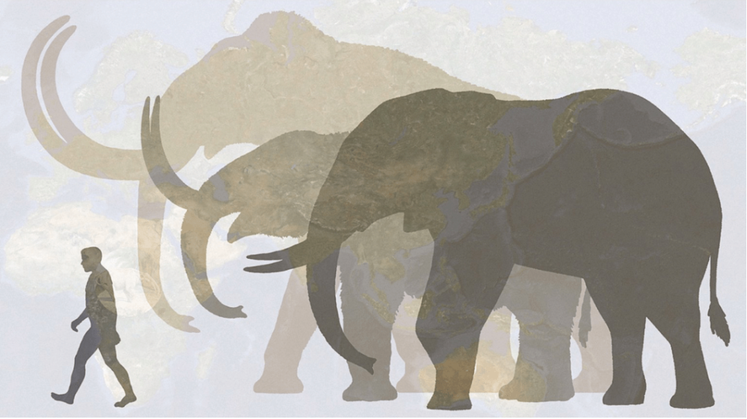 The Mammoth (AKA Stress)